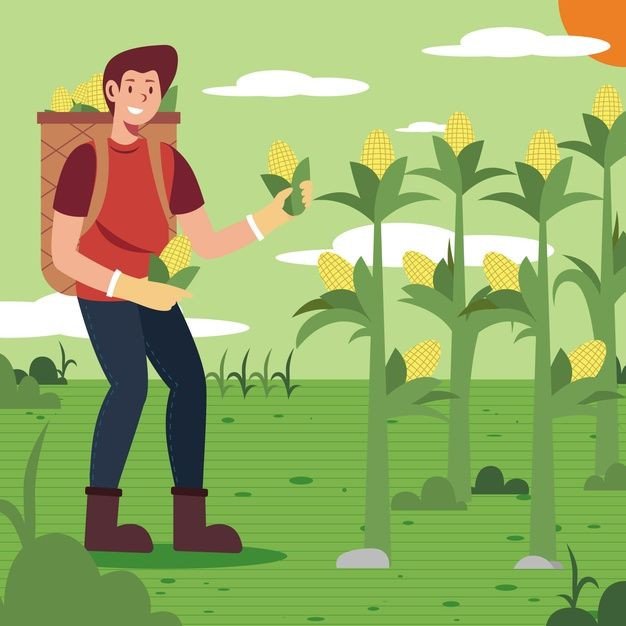 Forgot Password Page Image